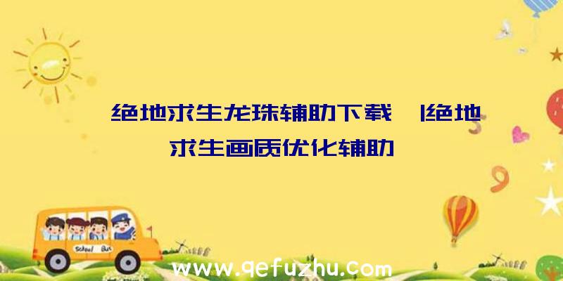 「绝地求生龙珠辅助下载」|绝地求生画质优化辅助